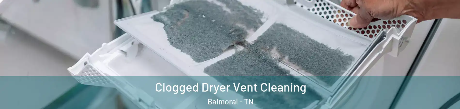 Clogged Dryer Vent Cleaning Balmoral - TN