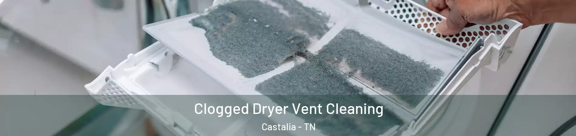 Clogged Dryer Vent Cleaning Castalia - TN