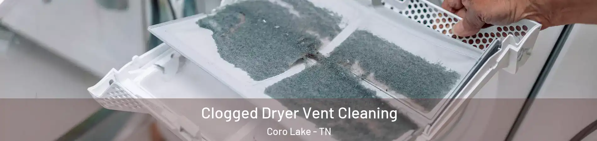 Clogged Dryer Vent Cleaning Coro Lake - TN