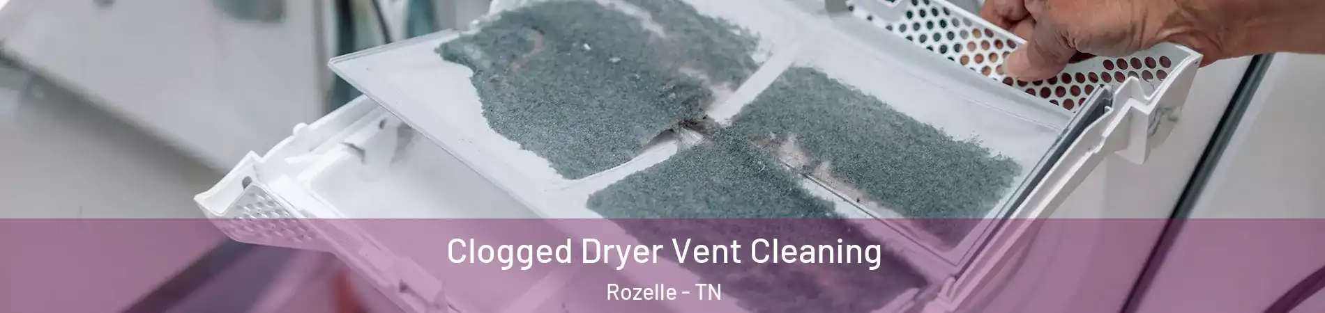 Clogged Dryer Vent Cleaning Rozelle - TN