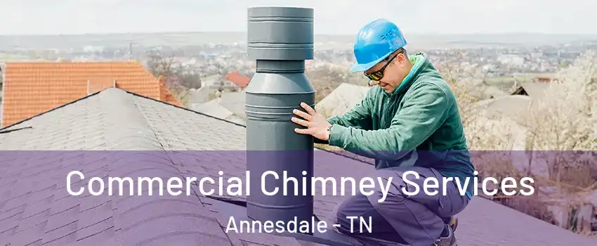 Commercial Chimney Services Annesdale - TN