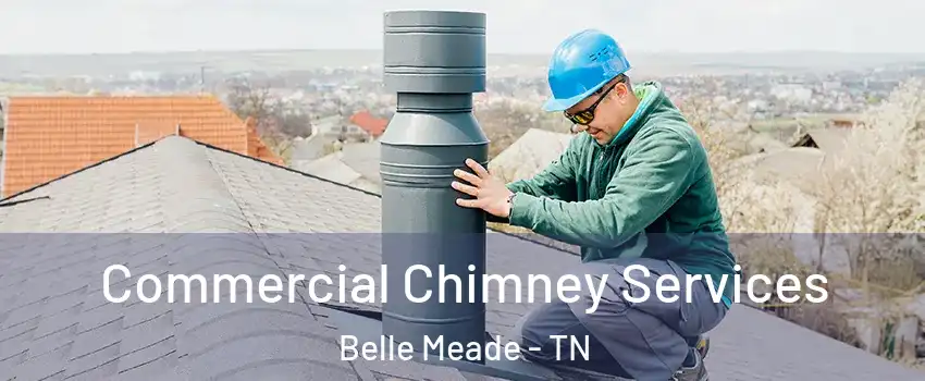 Commercial Chimney Services Belle Meade - TN