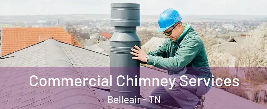 Commercial Chimney Services Belleair - TN