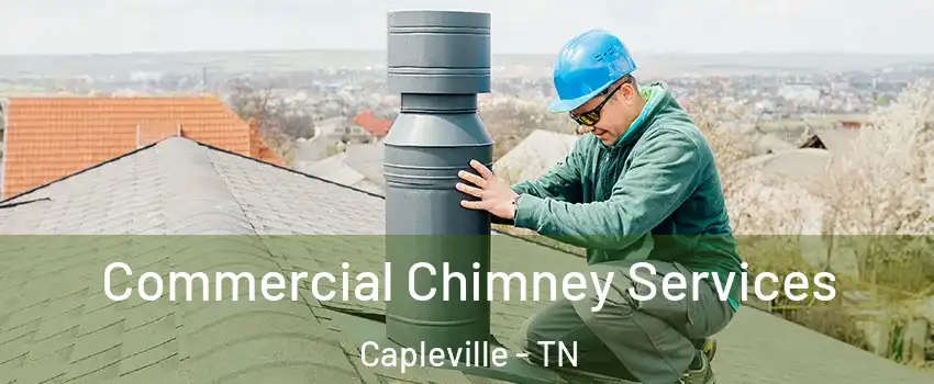 Commercial Chimney Services Capleville - TN