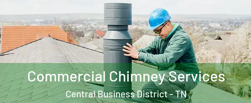 Commercial Chimney Services Central Business District - TN