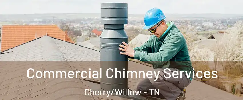 Commercial Chimney Services Cherry/Willow - TN