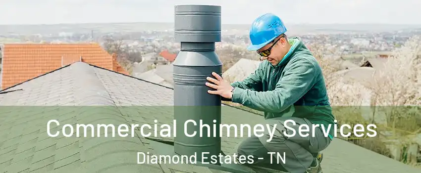 Commercial Chimney Services Diamond Estates - TN