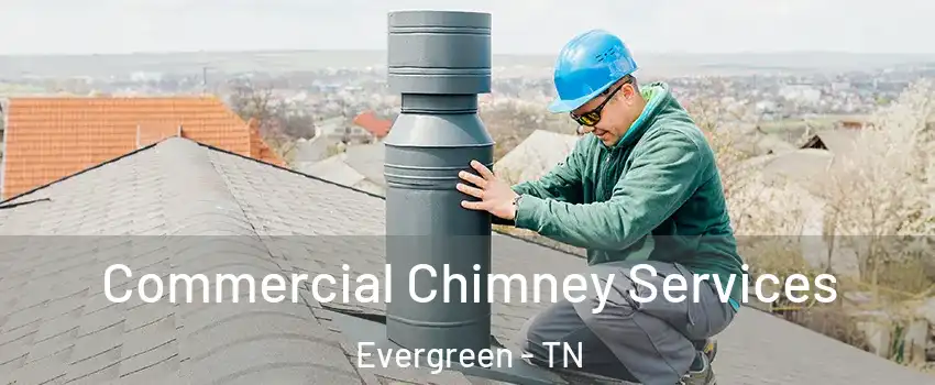 Commercial Chimney Services Evergreen - TN