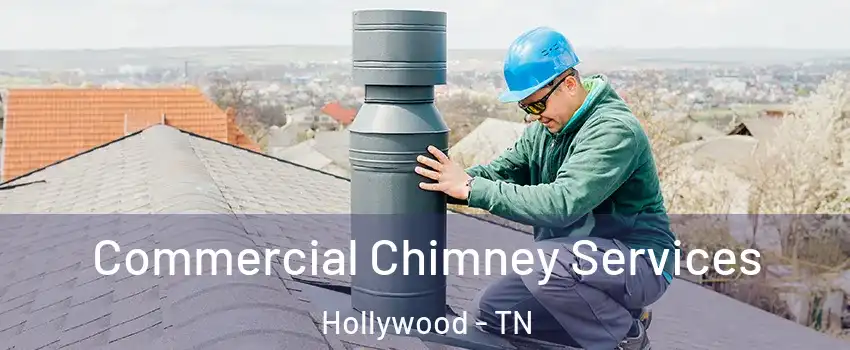 Commercial Chimney Services Hollywood - TN