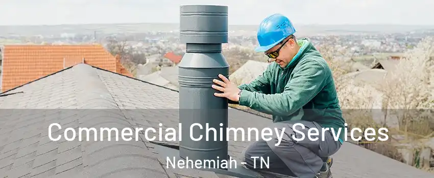 Commercial Chimney Services Nehemiah - TN