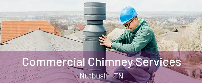 Commercial Chimney Services Nutbush - TN