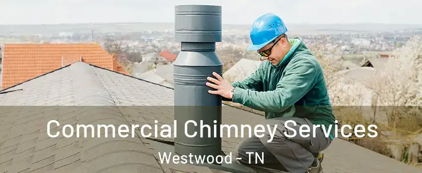 Commercial Chimney Services Westwood - TN