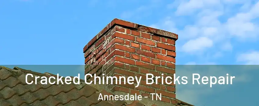 Cracked Chimney Bricks Repair Annesdale - TN