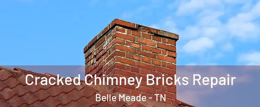 Cracked Chimney Bricks Repair Belle Meade - TN