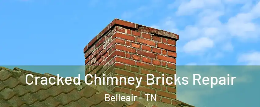 Cracked Chimney Bricks Repair Belleair - TN