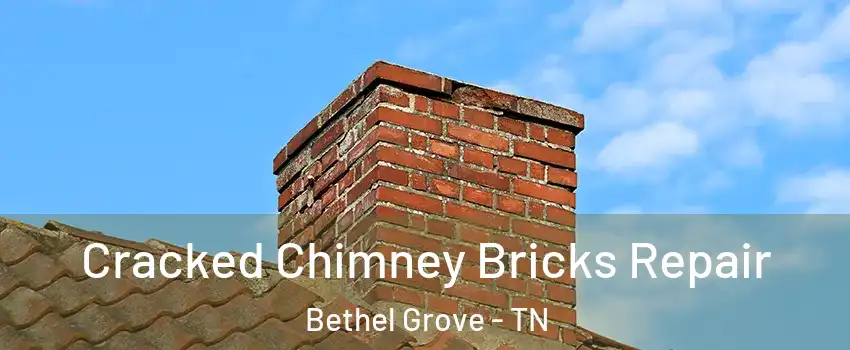 Cracked Chimney Bricks Repair Bethel Grove - TN