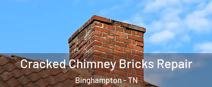 Cracked Chimney Bricks Repair Binghampton - TN