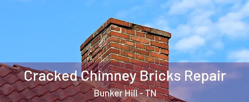 Cracked Chimney Bricks Repair Bunker Hill - TN