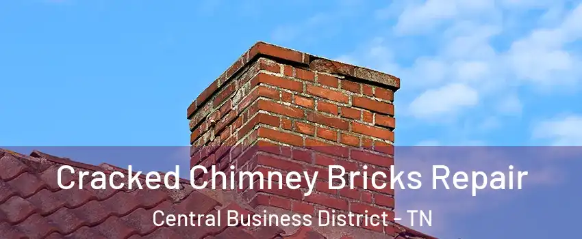 Cracked Chimney Bricks Repair Central Business District - TN