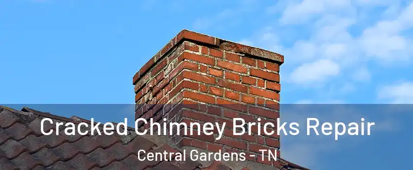 Cracked Chimney Bricks Repair Central Gardens - TN