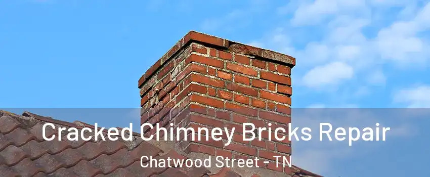 Cracked Chimney Bricks Repair Chatwood Street - TN