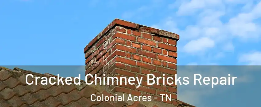 Cracked Chimney Bricks Repair Colonial Acres - TN