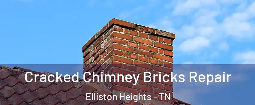 Cracked Chimney Bricks Repair Elliston Heights - TN