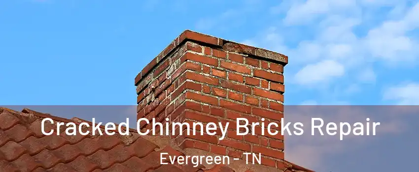 Cracked Chimney Bricks Repair Evergreen - TN