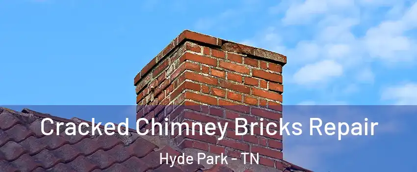 Cracked Chimney Bricks Repair Hyde Park - TN