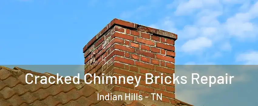 Cracked Chimney Bricks Repair Indian Hills - TN