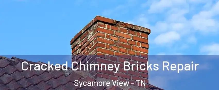 Cracked Chimney Bricks Repair Sycamore View - TN