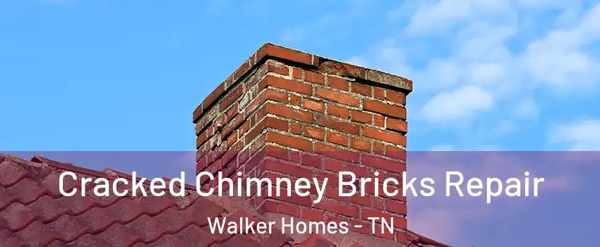 Cracked Chimney Bricks Repair Walker Homes - TN