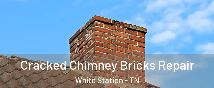 Cracked Chimney Bricks Repair White Station - TN