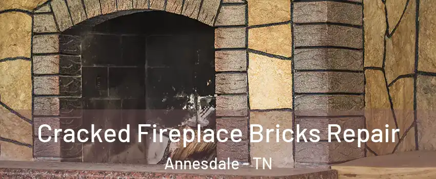 Cracked Fireplace Bricks Repair Annesdale - TN