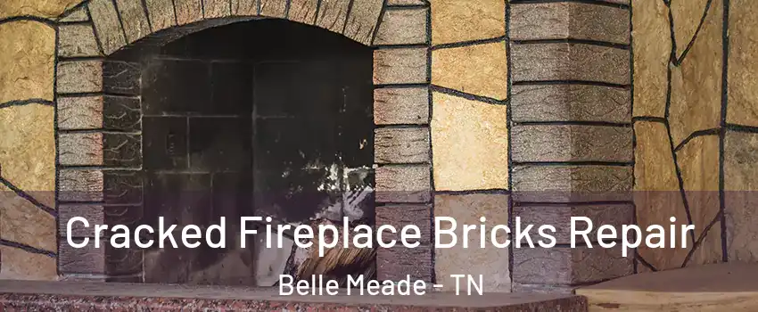 Cracked Fireplace Bricks Repair Belle Meade - TN