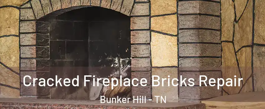 Cracked Fireplace Bricks Repair Bunker Hill - TN