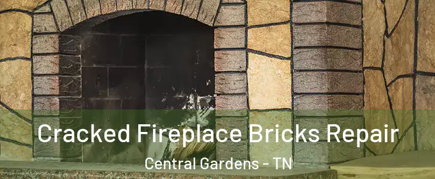 Cracked Fireplace Bricks Repair Central Gardens - TN