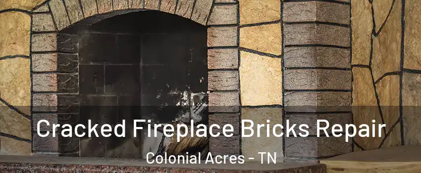 Cracked Fireplace Bricks Repair Colonial Acres - TN