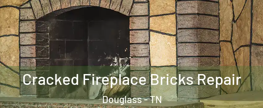 Cracked Fireplace Bricks Repair Douglass - TN