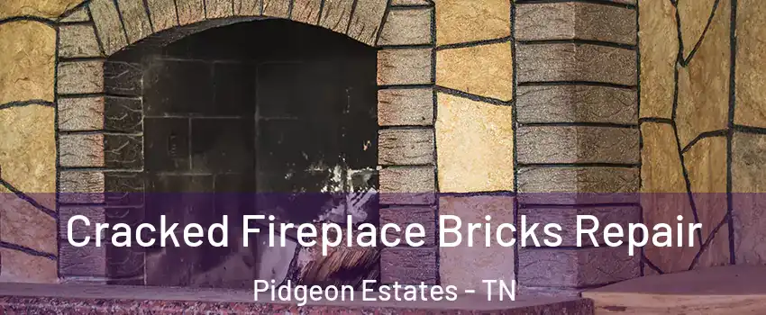 Cracked Fireplace Bricks Repair Pidgeon Estates - TN