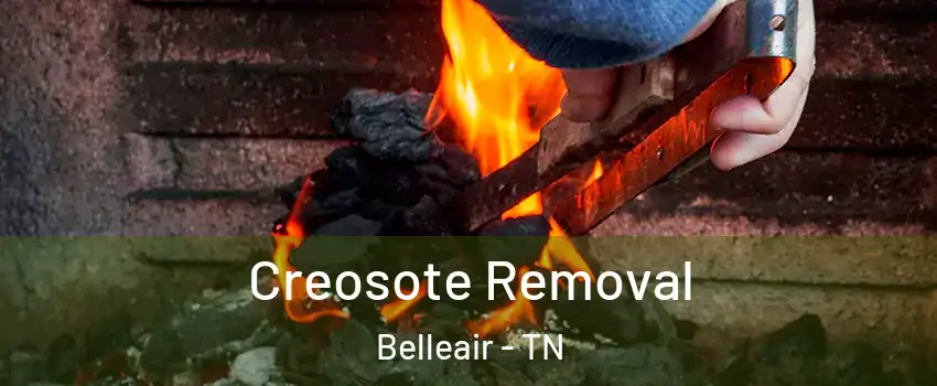 Creosote Removal Belleair - TN