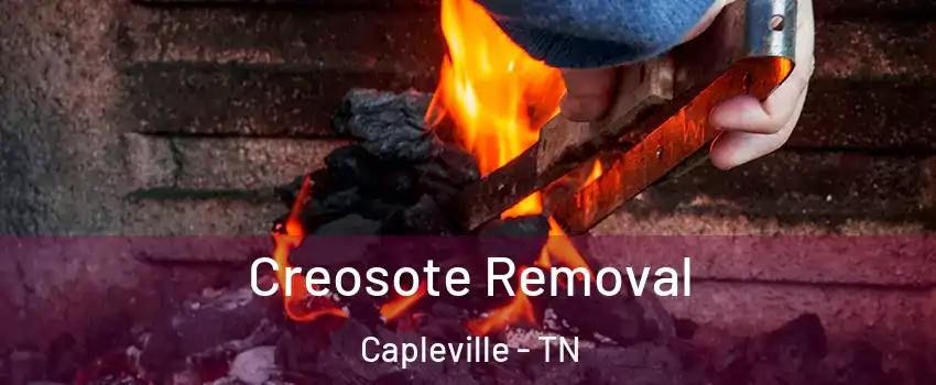 Creosote Removal Capleville - TN