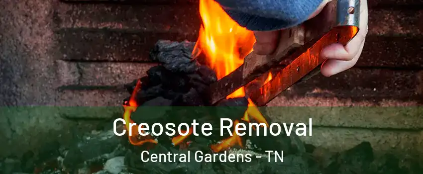 Creosote Removal Central Gardens - TN