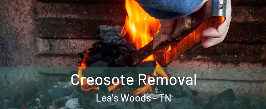 Creosote Removal Lea's Woods - TN