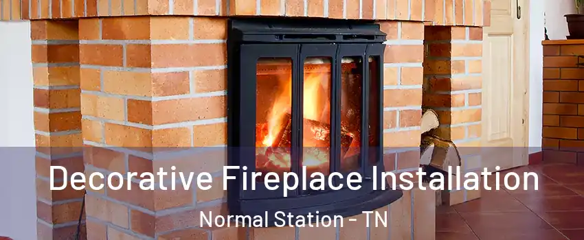 Decorative Fireplace Installation Normal Station - TN