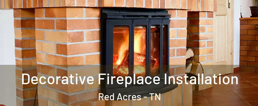 Decorative Fireplace Installation Red Acres - TN