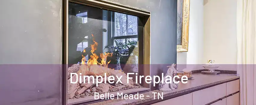 Dimplex Fireplace Belle Meade - TN