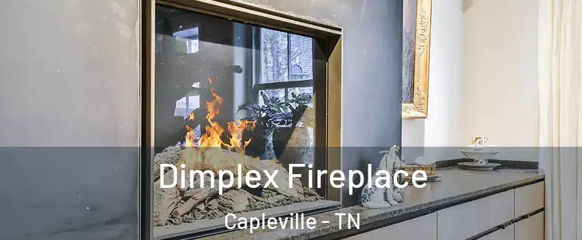 Dimplex Fireplace Capleville - TN