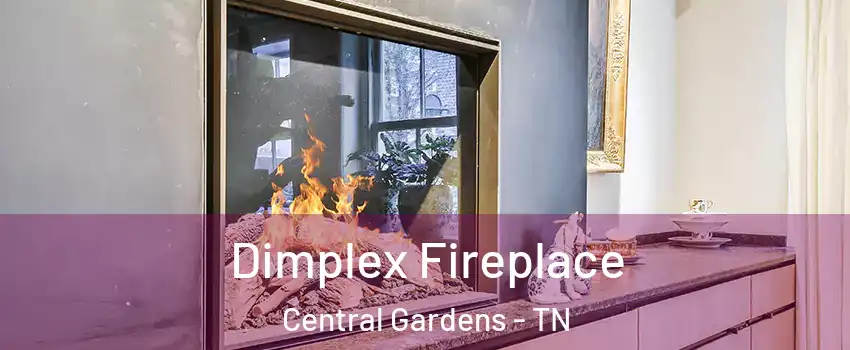 Dimplex Fireplace Central Gardens - TN