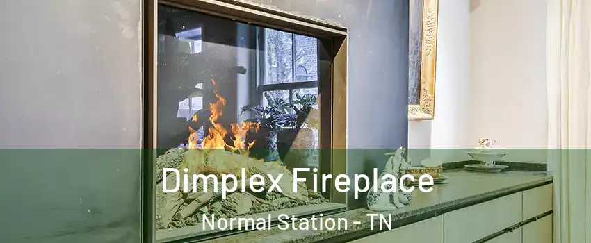 Dimplex Fireplace Normal Station - TN